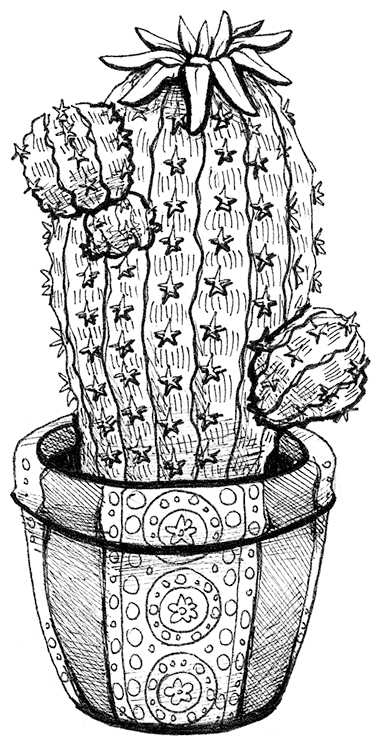 Иллюстрация к книге — Яжмаг. Клуб отверженных магов [i_012.jpg]