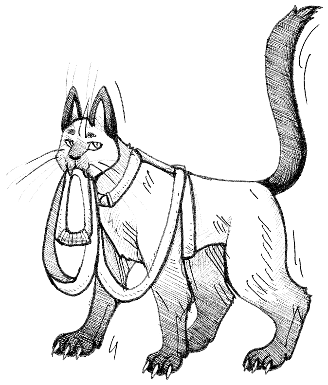 Иллюстрация к книге — Яжмаг вне закона [i_001.jpg]