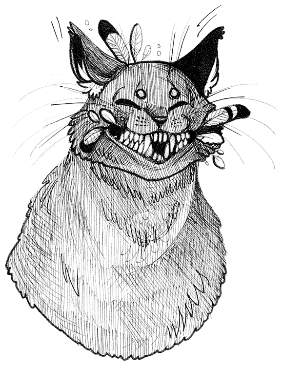 Иллюстрация к книге — Яжмаг вне закона [i_016.jpg]