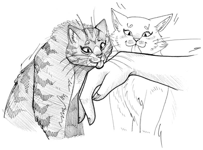 Иллюстрация к книге — Яжмаг вне закона [i_023.jpg]