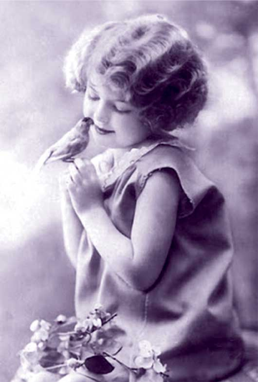 Иллюстрация к книге — Агата Кристи. Она написала убийство [i_003.jpg]