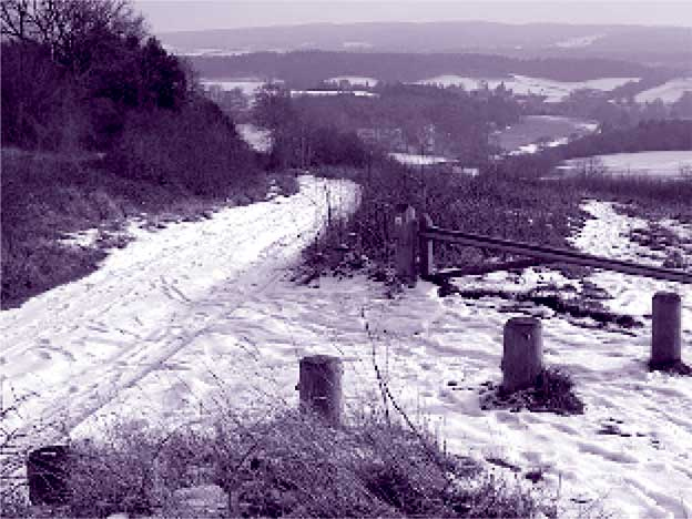 Иллюстрация к книге — Агата Кристи. Она написала убийство [i_067.jpg]