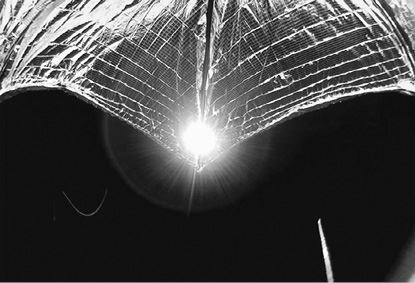 Иллюстрация к книге — Внеземной. В поисках инопланетного разума [i_009.jpg]