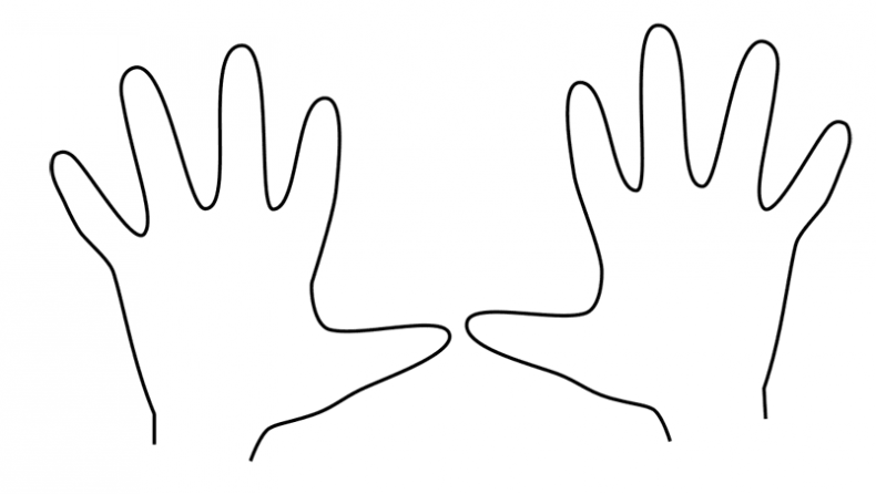 Иллюстрация к книге — Иллюзии страха. 14 упражнений, которые помогут вытащить себя из эмоциональной ямы [i_004.jpg]