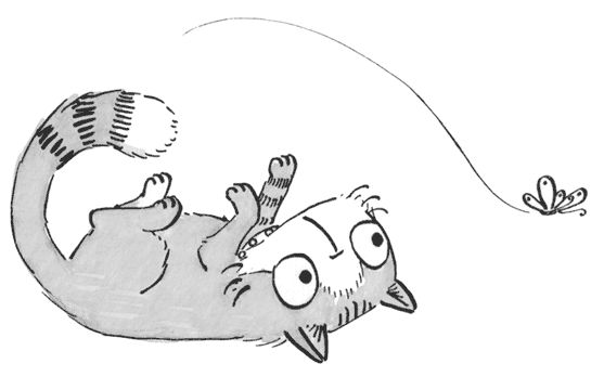 Иллюстрация к книге — Драконы и зефирки [i_001.jpg]