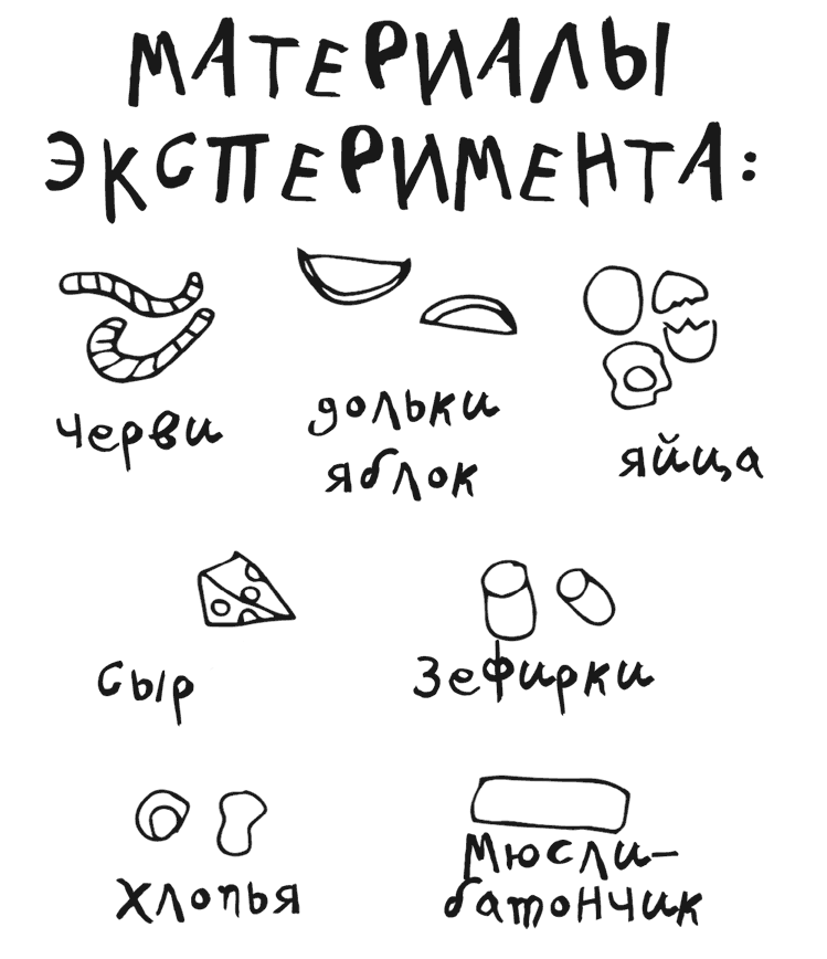 Иллюстрация к книге — Драконы и зефирки [i_025.jpg]