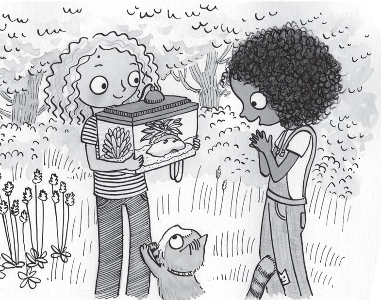 Иллюстрация к книге — Драконы и зефирки [i_034.jpg]