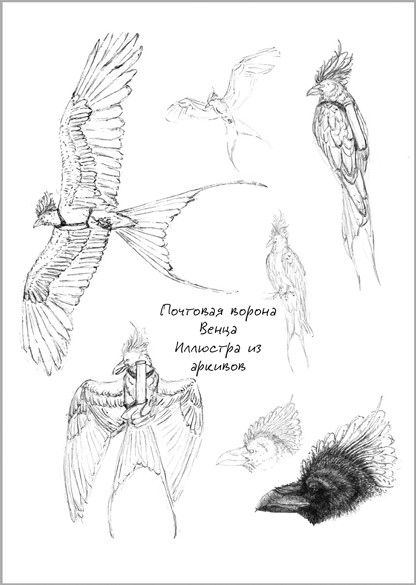 Иллюстрация к книге — Беззвездный Венец [i_004.jpg]