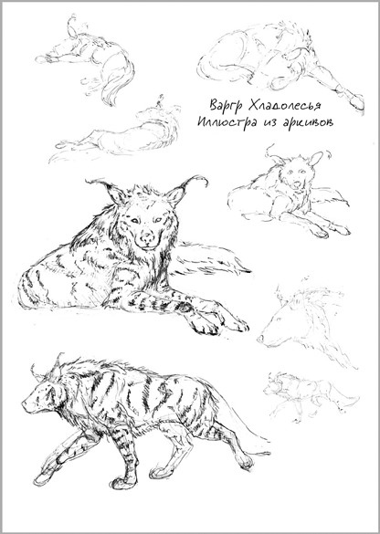 Иллюстрация к книге — Беззвездный Венец [i_006.jpg]