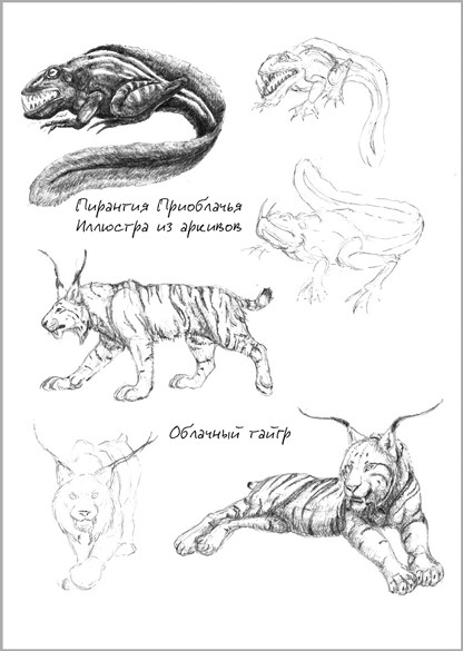 Иллюстрация к книге — Беззвездный Венец [i_009.jpg]