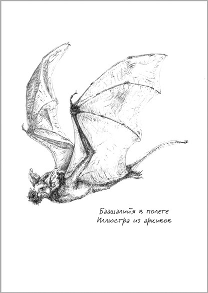 Иллюстрация к книге — Беззвездный Венец [i_011.jpg]