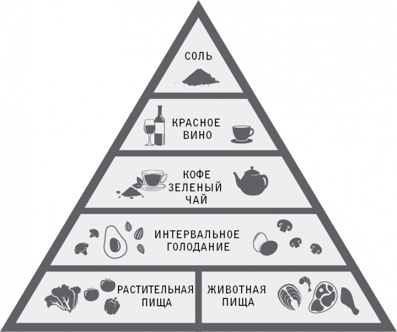 Иллюстрация к книге — Код долголетия. 12 понятных и доступных способов сохранить здоровье, ясность ума и привлекательность на долгие годы [i_061.jpg]