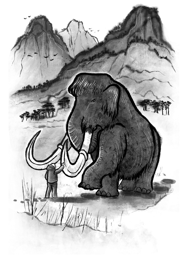 Иллюстрация к книге — Когда тигр спустился с горы [i_013.jpg]