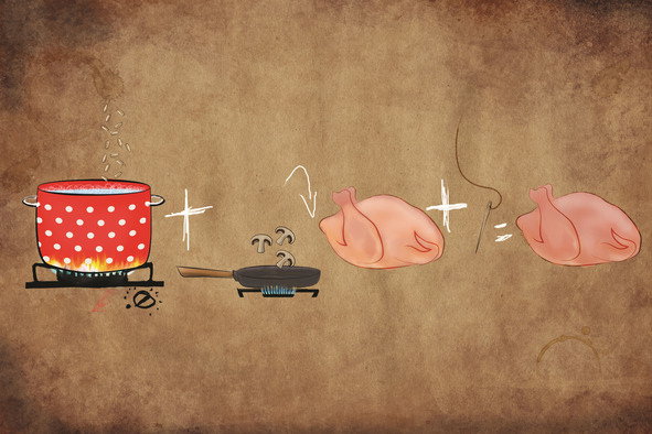 Иллюстрация к книге — Как накормить чемпиона? Дневник профессиональной жены [image3_565550614d5886970753e528_jpg.jpg]