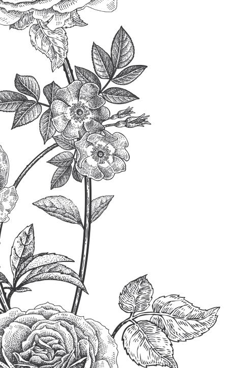 Иллюстрация к книге — Повелитель сорок [i_014.jpg]