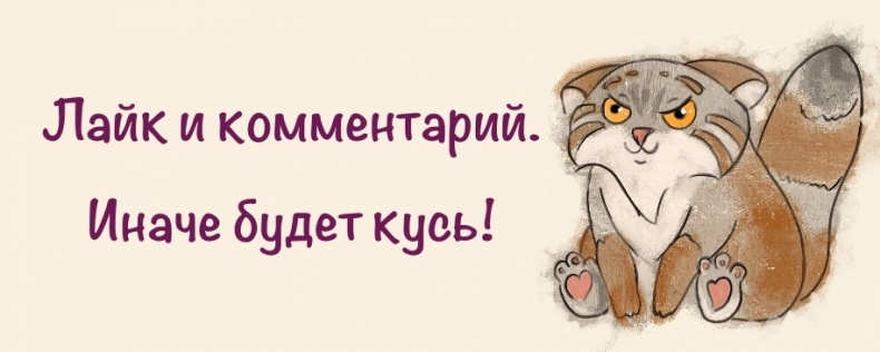 Иллюстрация к книге — След лисицы [img2.jpg]