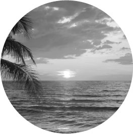 Иллюстрация к книге — Последний поезд на Ки-Уэст [i_001.jpg]