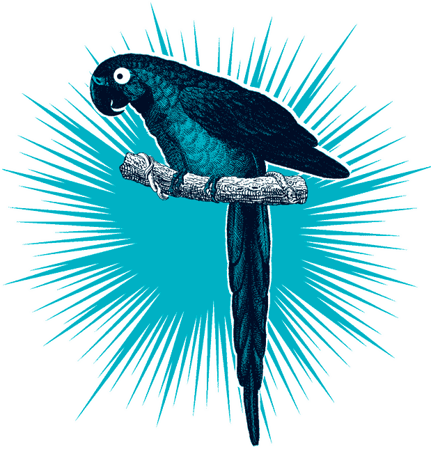 Иллюстрация к книге — Уоррен XIII и Тринадцатилетнее проклятие [i_063.jpg]