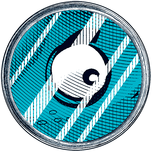 Иллюстрация к книге — Уоррен XIII и Тринадцатилетнее проклятие [i_083.jpg]