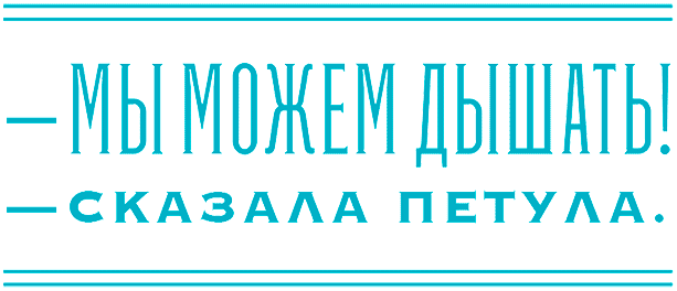 Иллюстрация к книге — Уоррен XIII и Тринадцатилетнее проклятие [i_170.jpg]