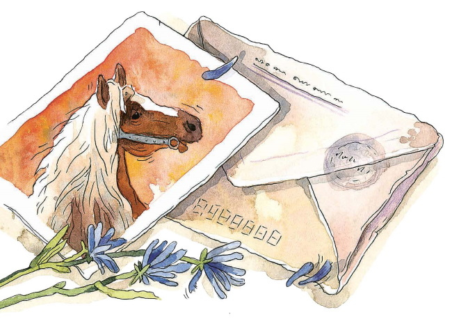 Иллюстрация к книге — Кастрюля для воспитания [i_028.jpg]