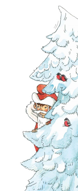 Иллюстрация к книге — Влюблённый Дед Мороз [i_011.jpg]