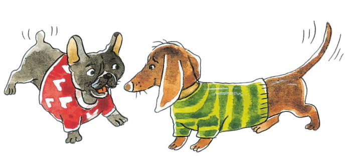 Иллюстрация к книге — Влюблённый Дед Мороз [i_038.jpg]