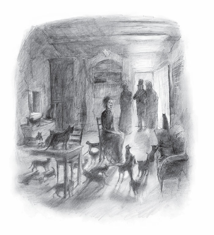 Иллюстрация к книге — Джонатан Стрендж и мистер Норрелл [i_021.jpg]