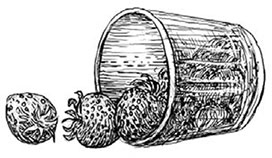 Иллюстрация к книге — Танамор. Незримый враг [i_021.jpg]