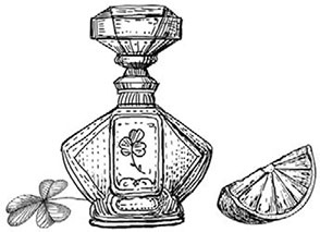 Иллюстрация к книге — Танамор. Незримый враг [i_029.jpg]