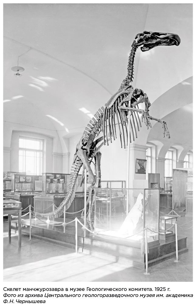 Иллюстрация к книге — Динозавры России. Прошлое, настоящее, будущее [i_009.jpg]