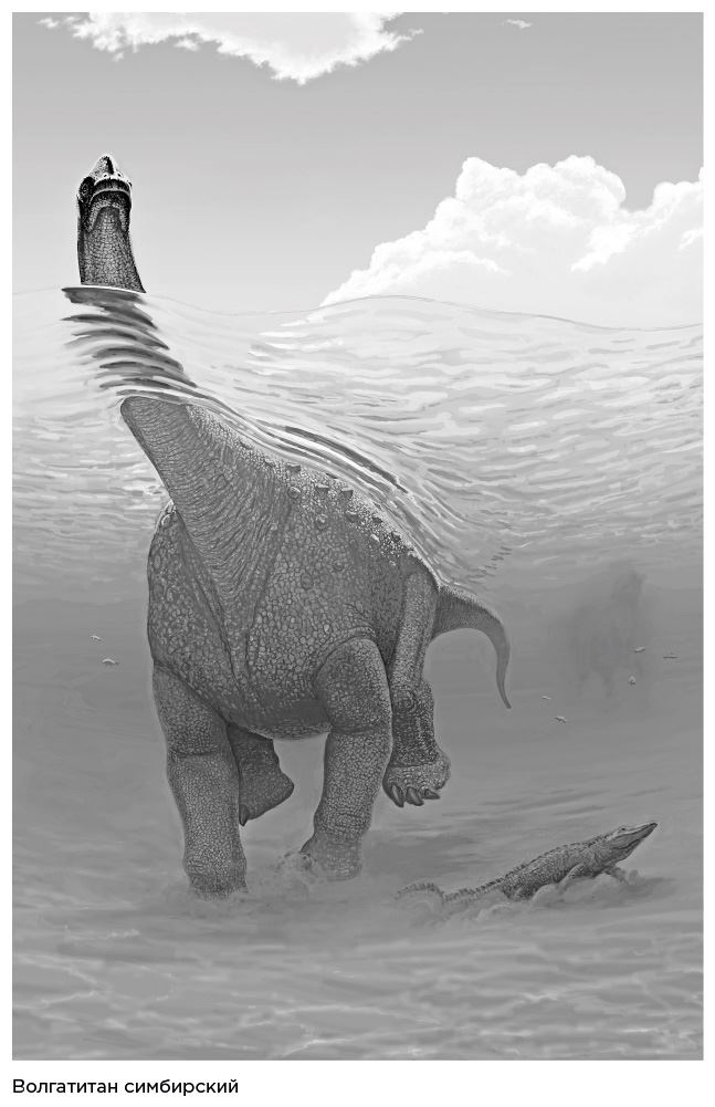 Иллюстрация к книге — Динозавры России. Прошлое, настоящее, будущее [i_011.jpg]