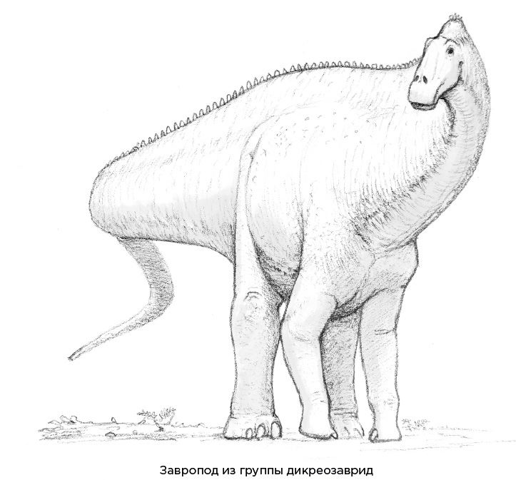 Иллюстрация к книге — Динозавры России. Прошлое, настоящее, будущее [i_013.jpg]