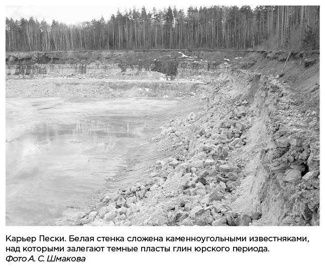 Иллюстрация к книге — Динозавры России. Прошлое, настоящее, будущее [i_014.jpg]