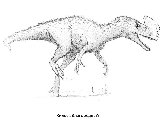 Иллюстрация к книге — Динозавры России. Прошлое, настоящее, будущее [i_018.jpg]