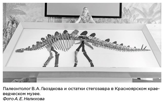 Иллюстрация к книге — Динозавры России. Прошлое, настоящее, будущее [i_019.jpg]
