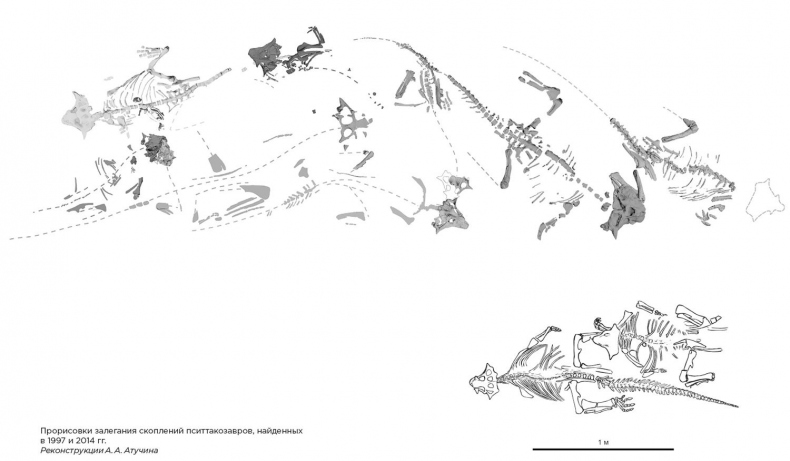 Иллюстрация к книге — Динозавры России. Прошлое, настоящее, будущее [i_047.jpg]