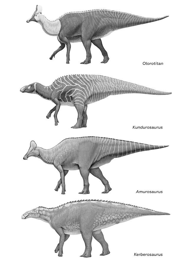 Иллюстрация к книге — Динозавры России. Прошлое, настоящее, будущее [i_057.jpg]