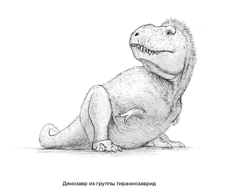 Иллюстрация к книге — Динозавры России. Прошлое, настоящее, будущее [i_059.jpg]