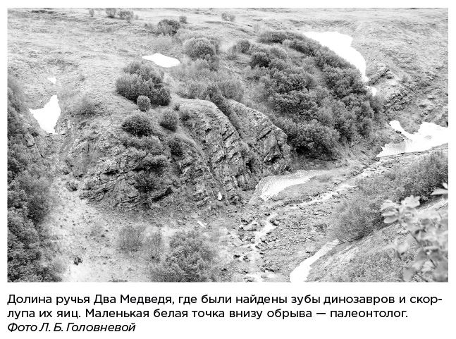 Иллюстрация к книге — Динозавры России. Прошлое, настоящее, будущее [i_060.jpg]