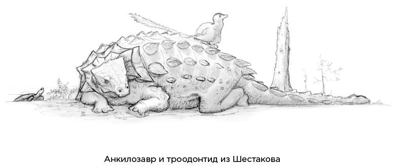 Иллюстрация к книге — Динозавры России. Прошлое, настоящее, будущее [i_063.jpg]