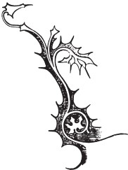 Иллюстрация к книге — Семь светочей архитектуры. Камни Венеции. Лекции об искусстве. Прогулки по Флоренции [i_050.jpg]