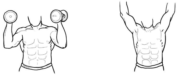 Иллюстрация к книге — Здоровое и красивое тело после 50. Простые способы сбросить или набрать вес [i_053.jpg]