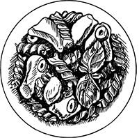 Иллюстрация к книге — Краткая история пасты. От тортеллини до карбонары [i_009.jpg]