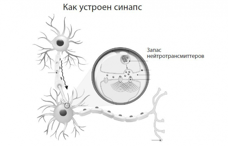 Иллюстрация к книге — Как технарю общаться с не-технарями [i_010.jpg]