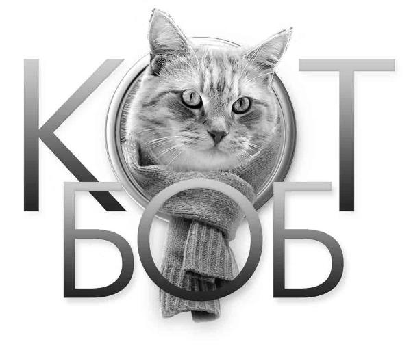 Иллюстрация к книге — Тайна уличного кота [i_001.jpg]