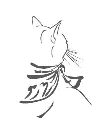 Иллюстрация к книге — Тайна уличного кота [i_002.jpg]