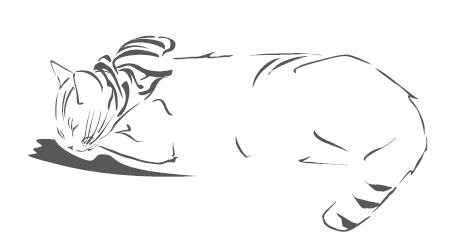 Иллюстрация к книге — Тайна уличного кота [i_012.jpg]