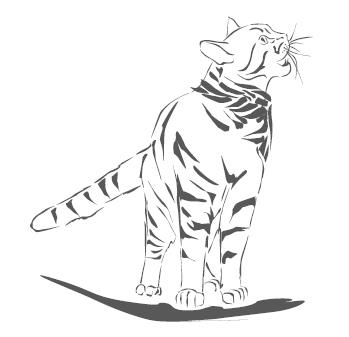 Иллюстрация к книге — Тайна уличного кота [i_014.jpg]