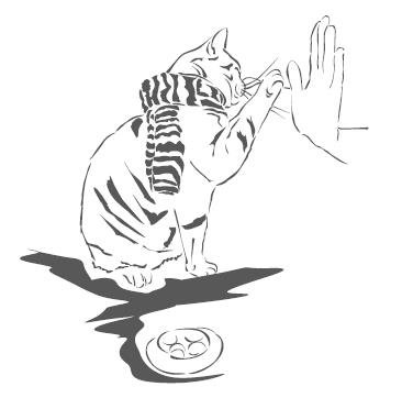 Иллюстрация к книге — Тайна уличного кота [i_018.jpg]